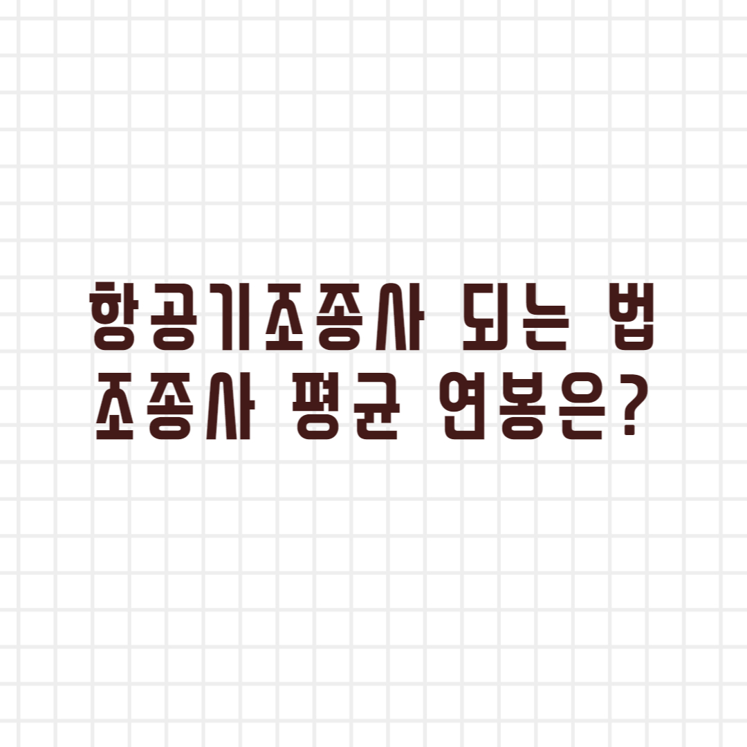  항공기조종사 되는 법, 연봉과 미래전망은?