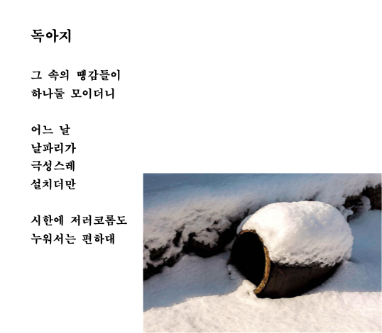 독아지 이미지