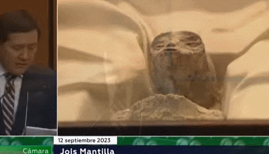  UFO 전문가, 멕시코 의회서 '외계인 시체' 공개 VIDEO: UFO expert unveils 'alien corpses' in Mexico Congress
