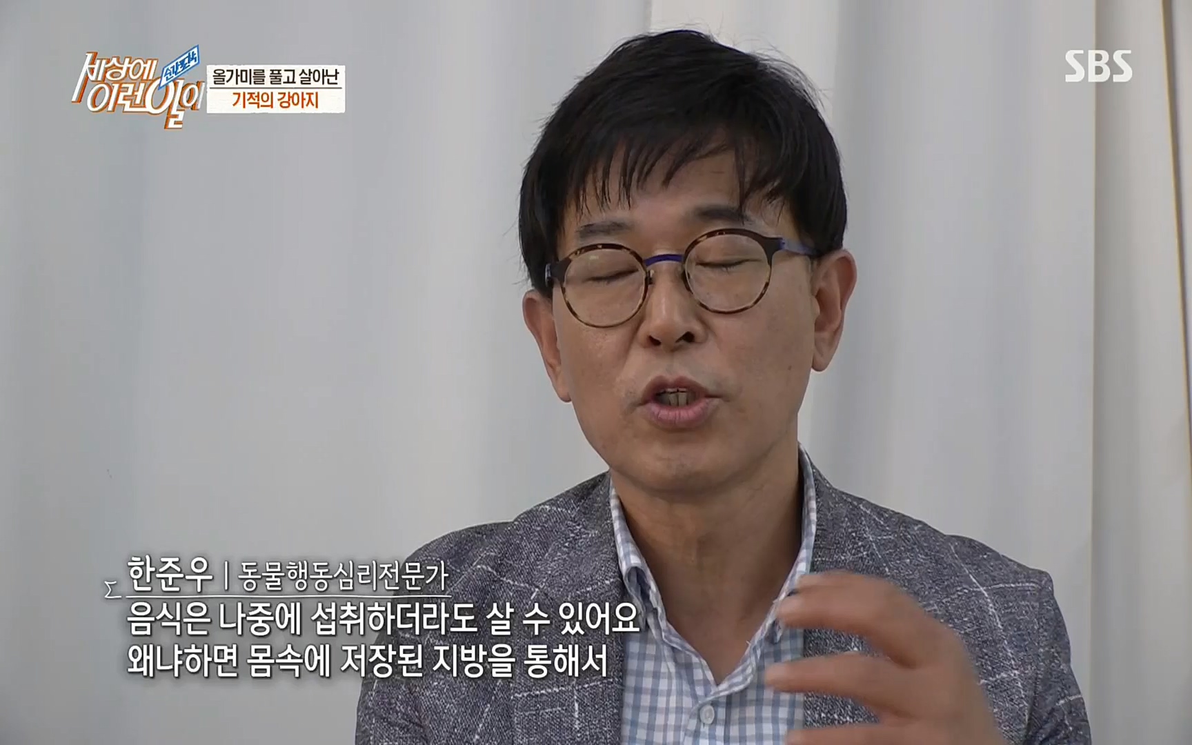 순간포착 세상에 이런일이.E1184.220614p.H264-F1RST.mp4_20220615_201707.933.jpg