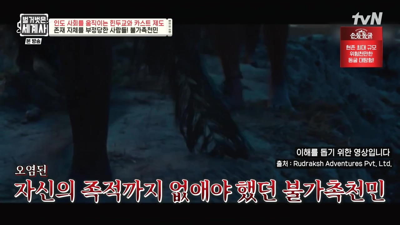 벌거벗은 세계사.E115.230906p-NEXT.mp4_20240406_174305.415.jpg