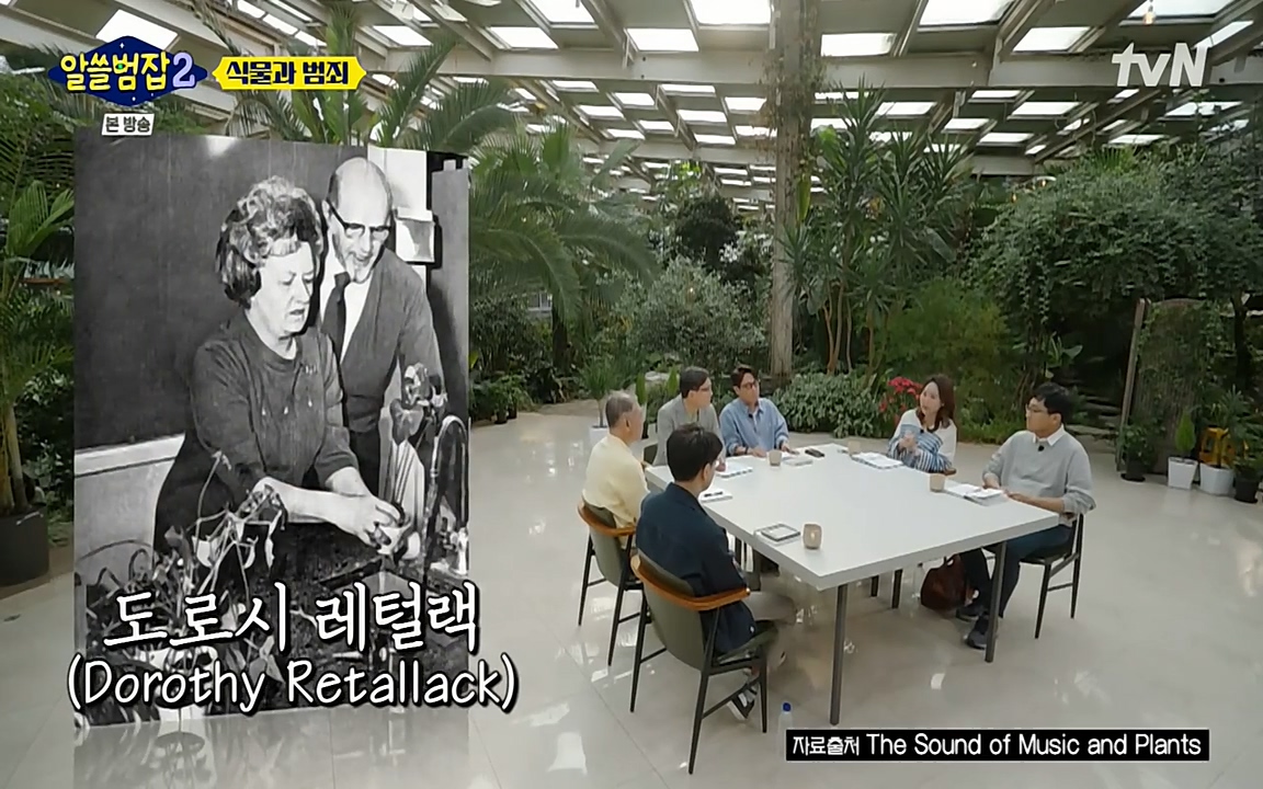 알쓸범잡 2.E15.220425p-NEXT.mp4_20220425_174607.299.jpg