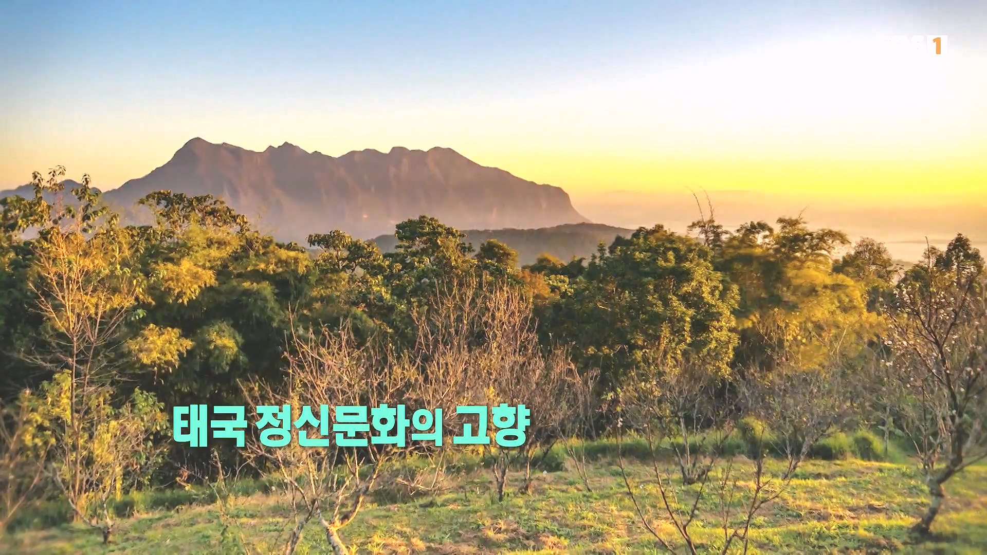 세계테마기행 240222 태국 북부 인생길 기행 -대찬 인생, 소박한 행복0p.mp4_20240807_194739.637.jpg