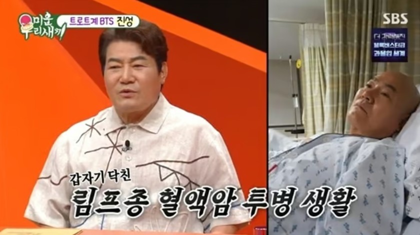 진성 이미지