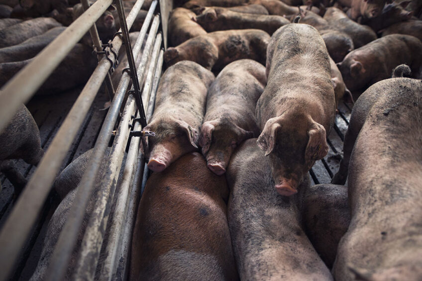  Smithfield closing almost 40 farms in Missouri