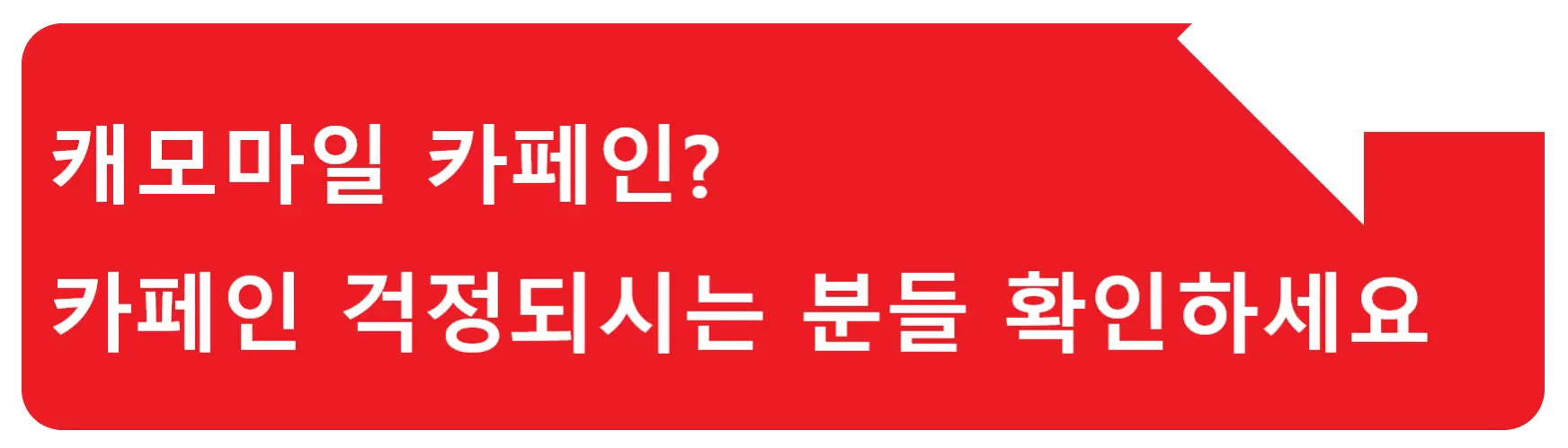 캐모마일 효능? 은은한 향의 캐모마일 이 차를 마시면 뭐가 좋을까?