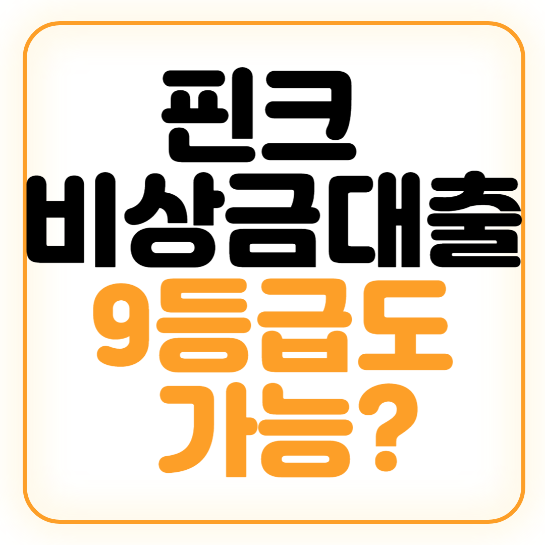 핀크 비상금대출