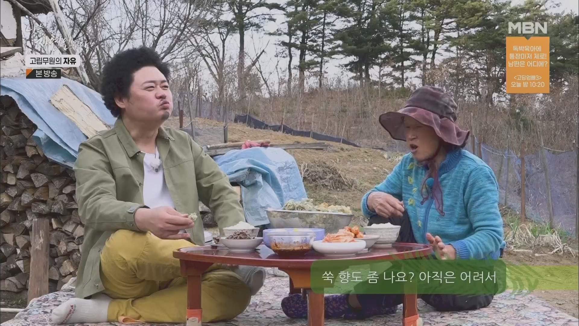 나는 자연인이다.E549.230412p.H264-F1RST.mp4_20230413_213210.689.jpg