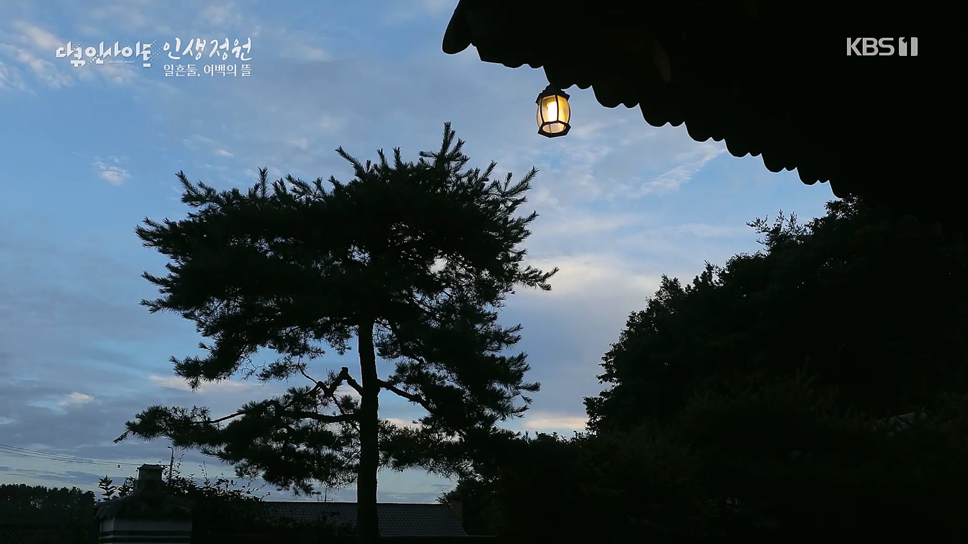 다큐 인사이트.E135.221229p.H264-F1RST.mp4_20230109_204211.960.jpg