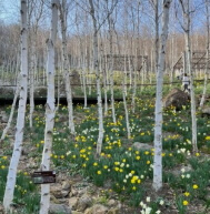 화담숲 예약방법