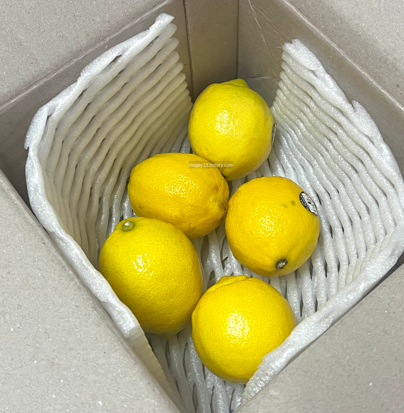 올팜 레몬