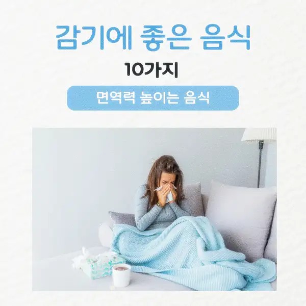 감기에 좋은 음식