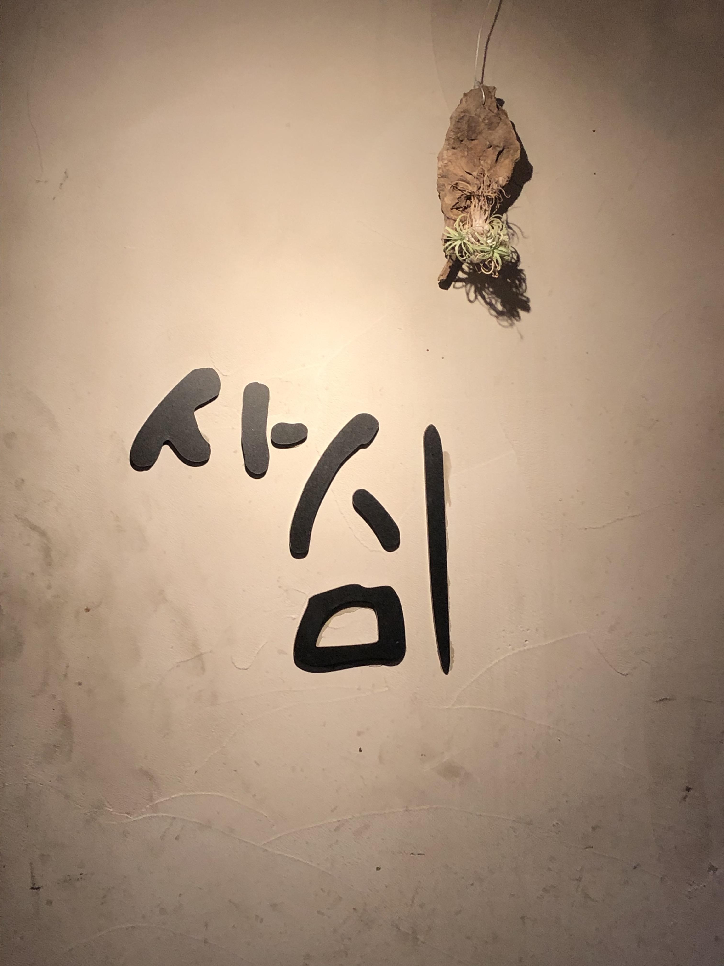  부산 서면 초밥 가게 - 사심초밥 (Sasim sushi)