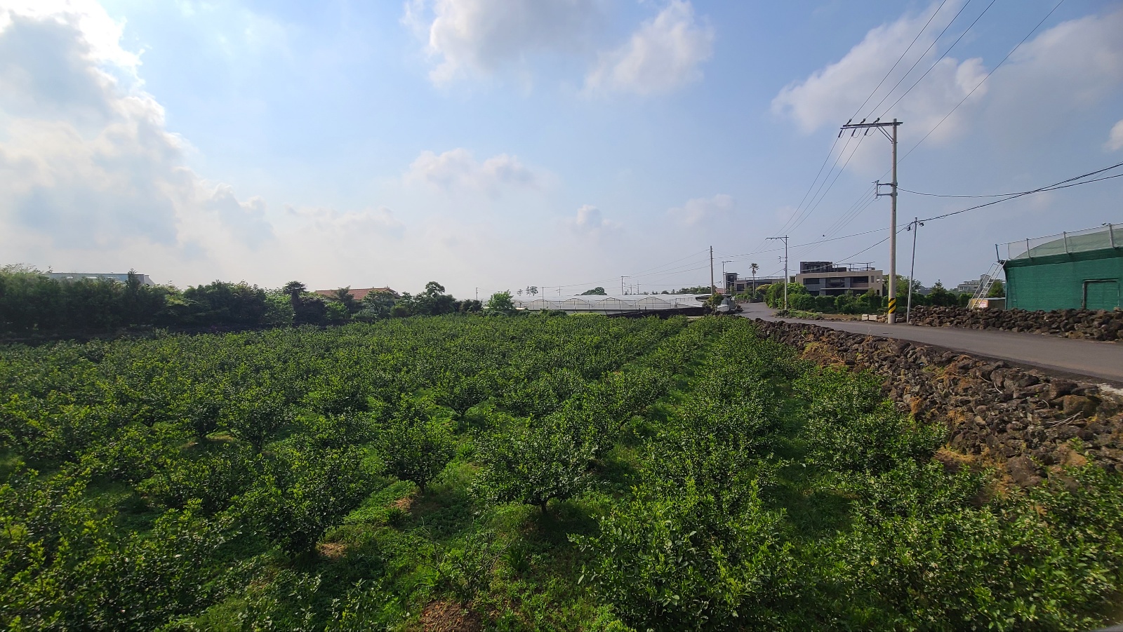 배우기20