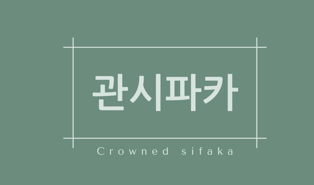 관시파카(Crowned sifaka)