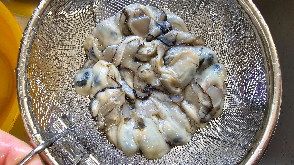 생굴 세척