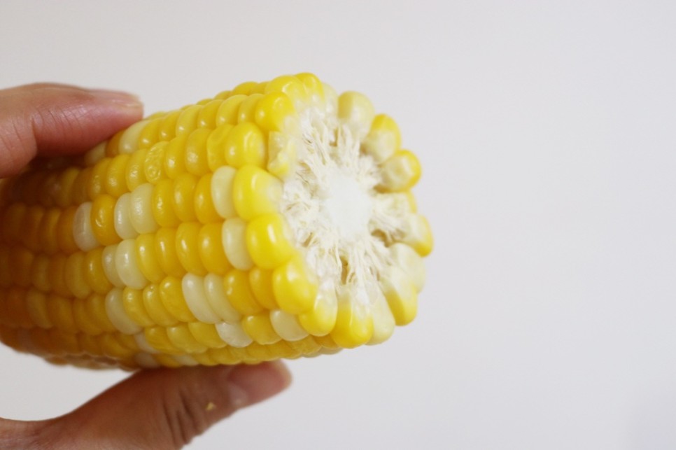 초당 옥수수 보관 냉동 냉장 2가지 방법 20