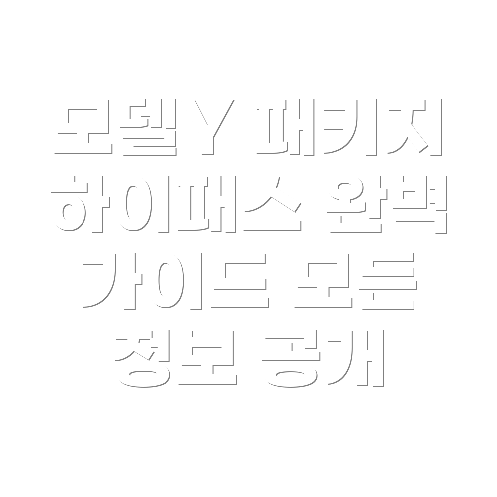 모델Y 신차 패키지