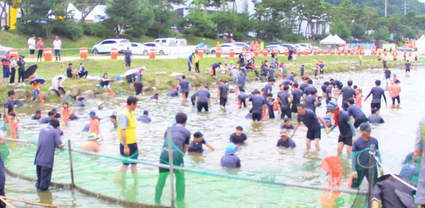 괴산고추축제