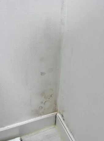벽지 곰팡이 제거법 원인 파악과 셀프 클리닝 요령 정리_8