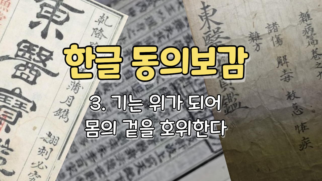  3. 기(氣)는 위(衛)가 되어 몸의 겉을 호위한다 ( 내경편 기 )