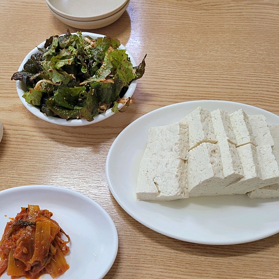 송의주 할매의 손두부 오늘N 울산 욕쟁이 할매집