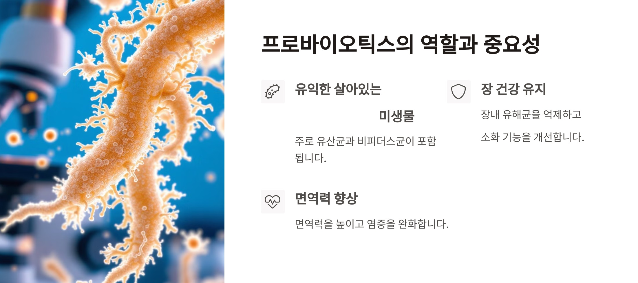 프로바이오틱스 작용 기전 다이어그램