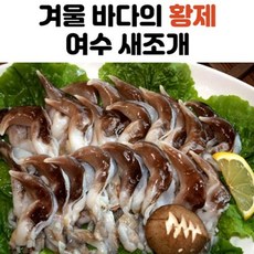  겨울 바다의 황제 여수 새조개 , 가격정보+후기정보 !
