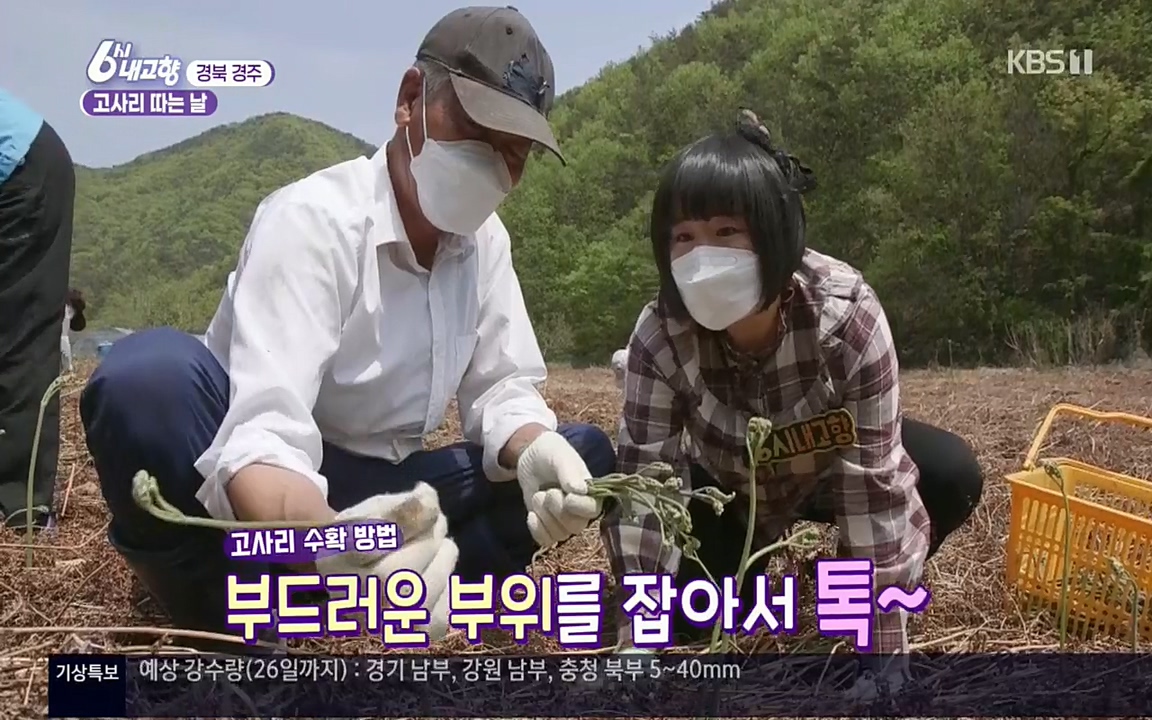 6시 내고향.E7518.220426p.H264-F1RST.mp4_20220504_185159.863.jpg