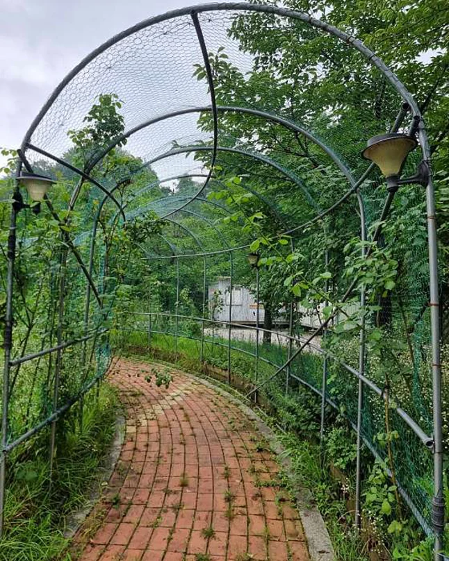화서휴게소(상주방향)공원
