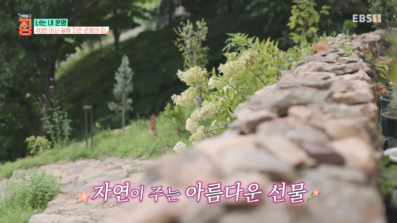 TV - 전 국민의 평생학교 EBS너는 내 운명.mp4_20231123_211354.423.jpg