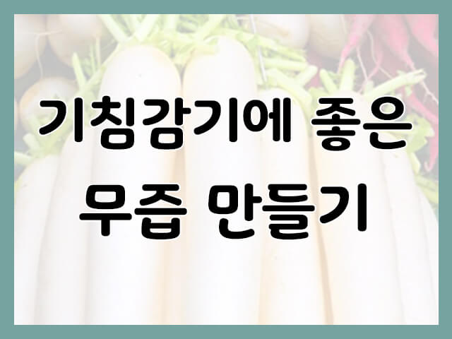 겨울 기침감기에 좋은 무즙(무꿀차)만드는 방법 추천