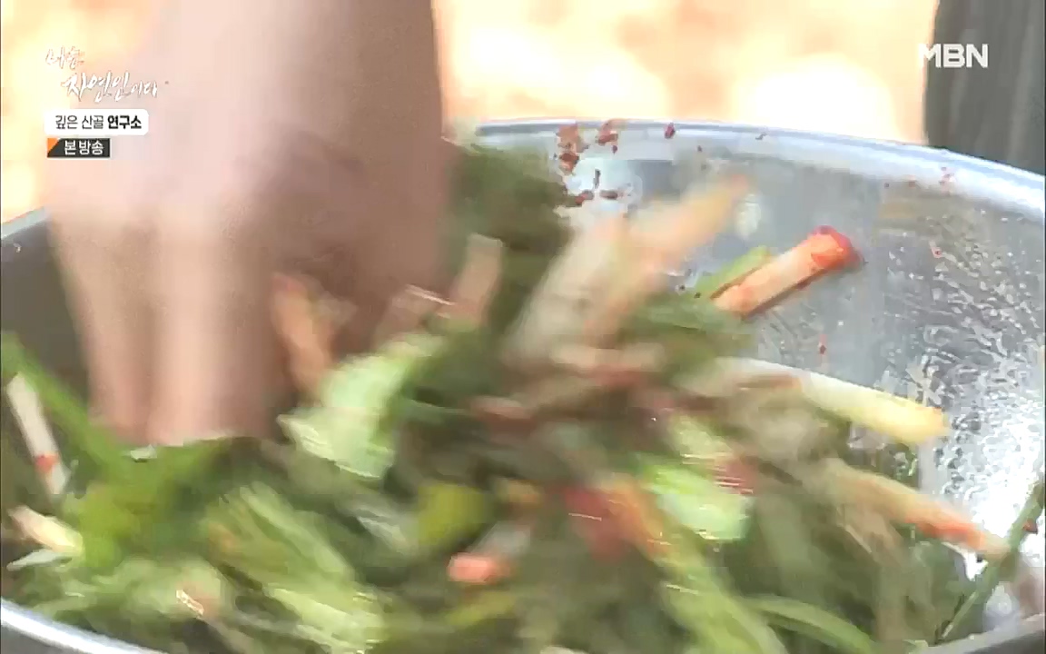 나는 자연인이다.E523.221013p.WANNA.mp4_20221013_201150.676.jpg