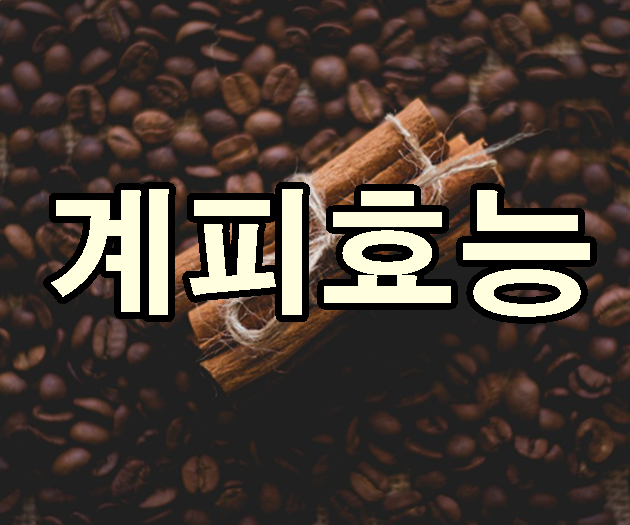 8가지 정확하게 알아두는 시나몬 효능 9