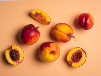 살구 효능 10가지 24