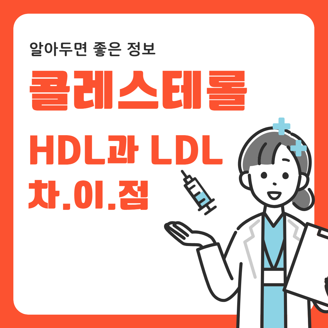 콜레스테롤 수치, HDL과 LDL의 차이점은 무엇인가요?