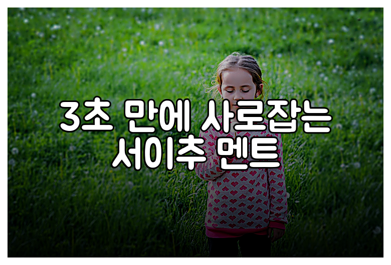 3초 만에 사로잡는 서이추 멘트