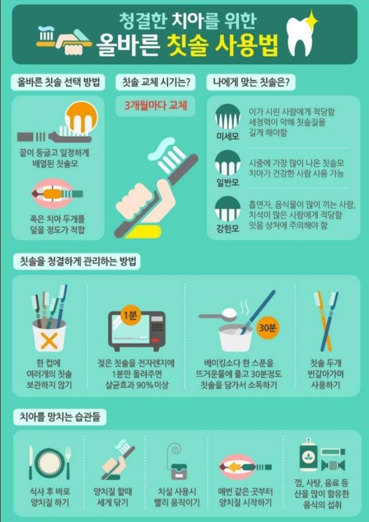  청결한 치아를 위한 올바른 칫솔 사용법