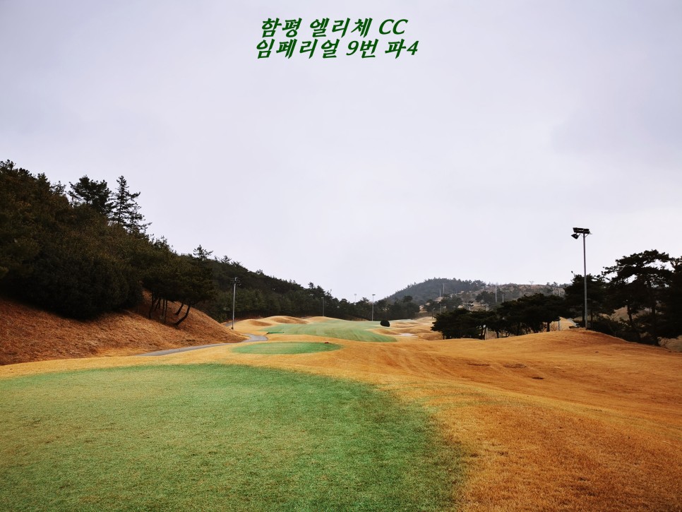 마제스티 1박2일 함평 엘리체CC 55