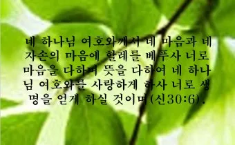 6월 둘째주 주일 대표 기도문 모음_22