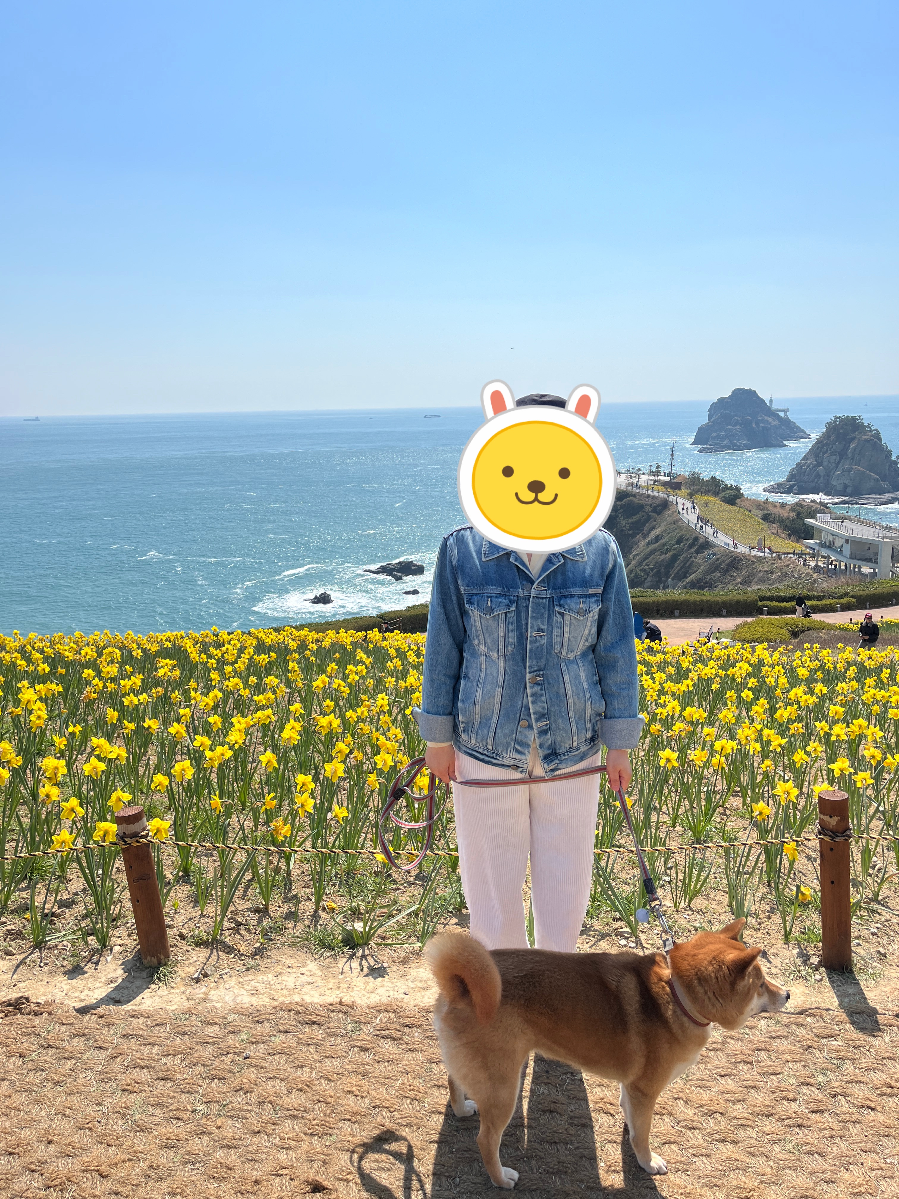 사진&#44; 4