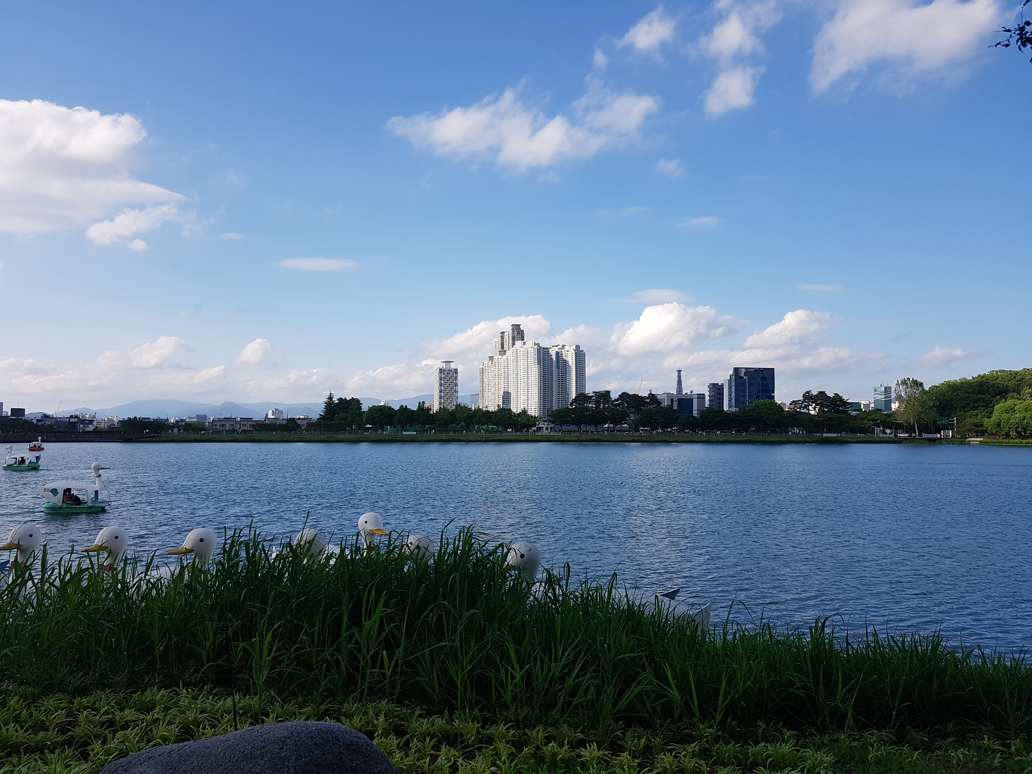  대구 수성구 여행, 볼거리, 산책, 맛집, 야경, 오리배 - 수성못
