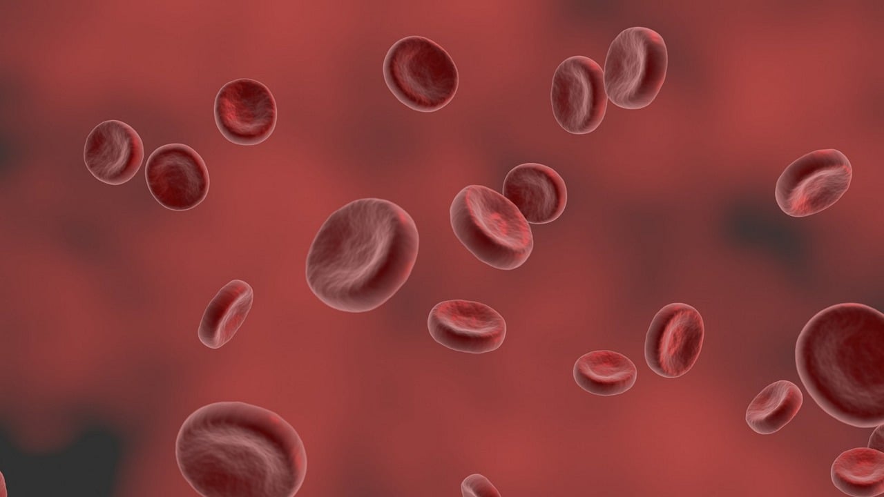 Ferritin 수치