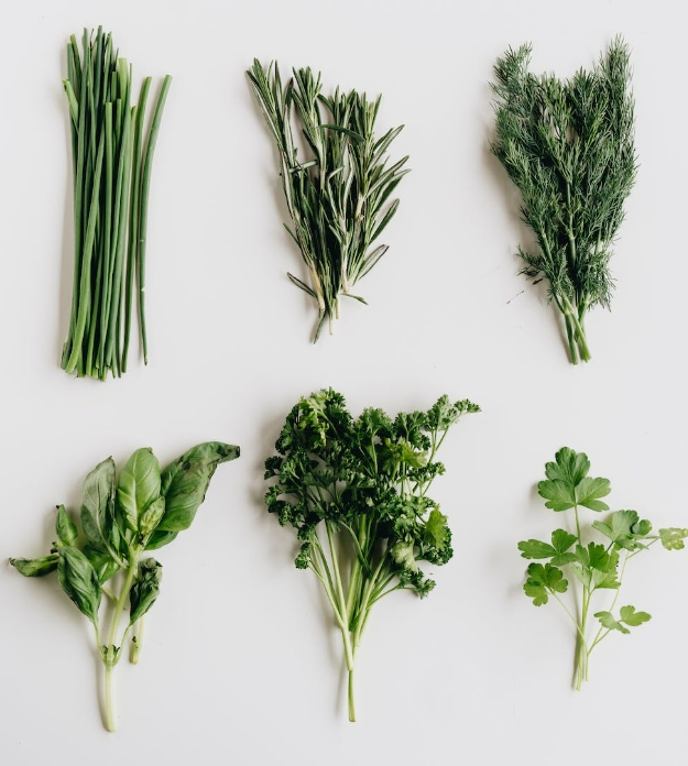 취나물 효능 부작용 알아보기 2