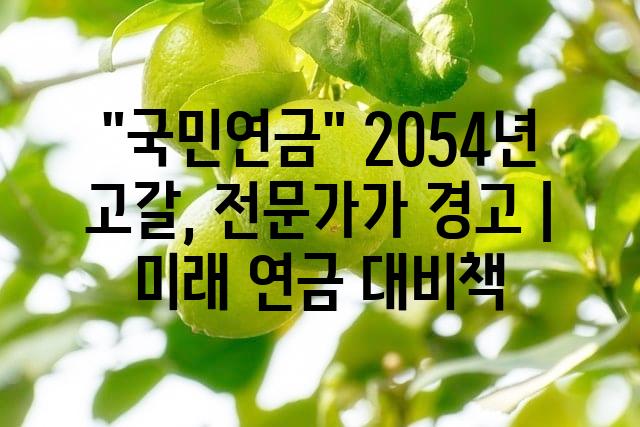 랜덤121