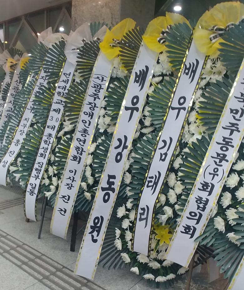  배우 김태리 근황
