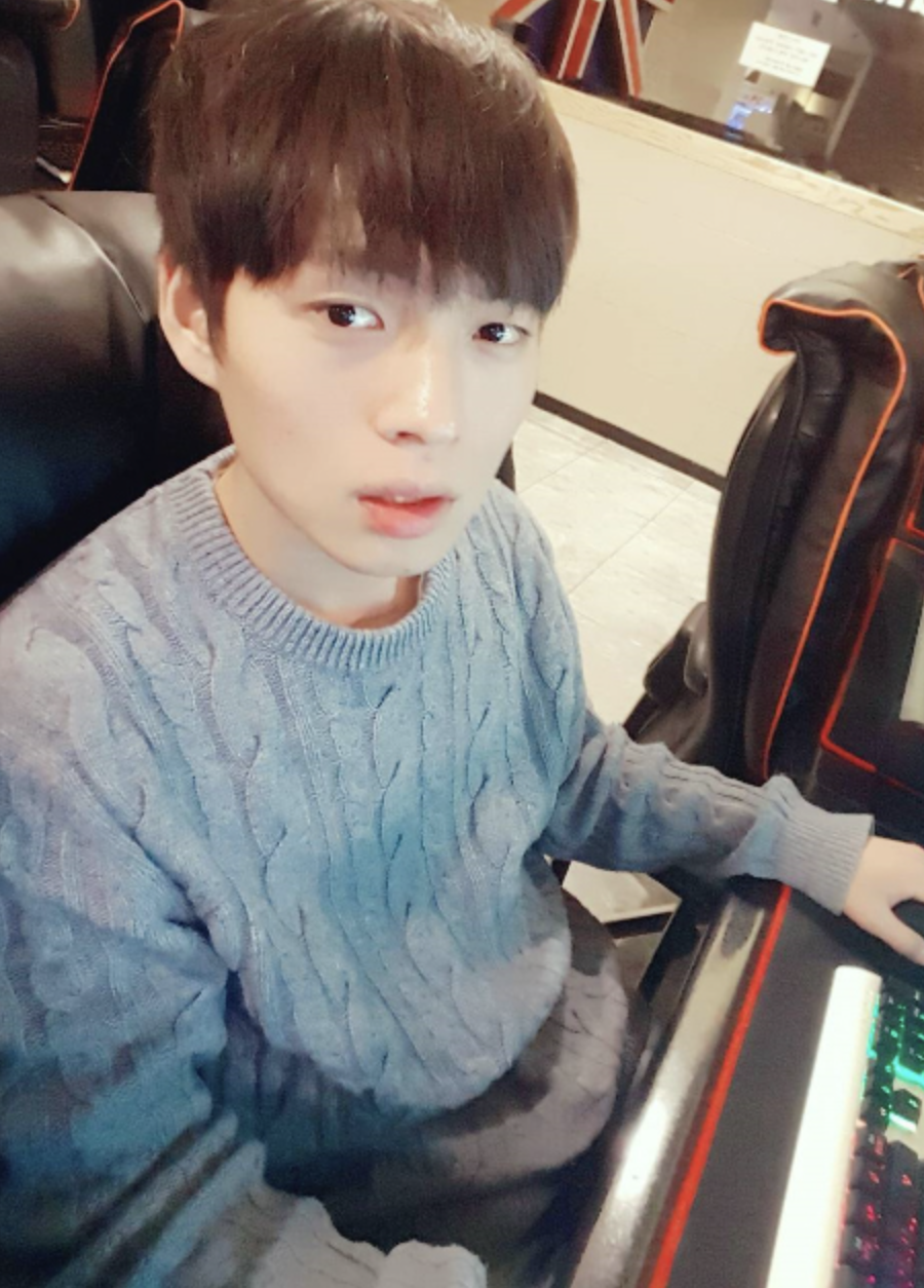 가수-최낙타