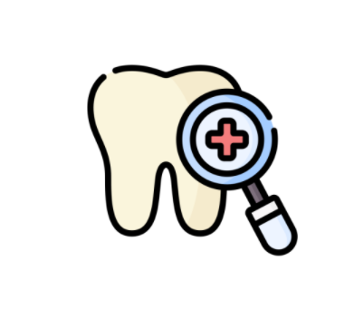 치아-보험-치아-돋보기