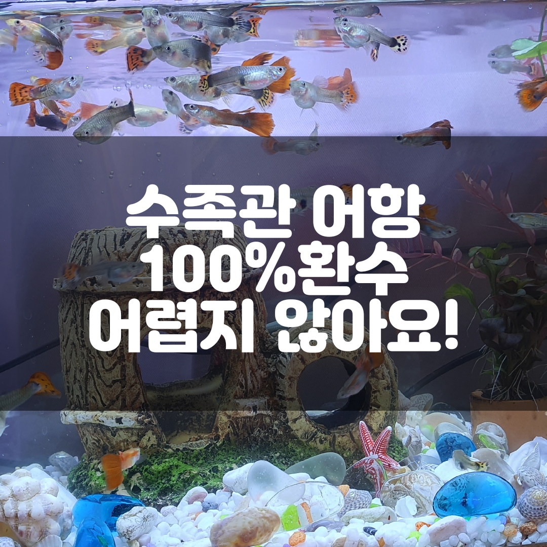  수족관 어항 100% 완전환수 확실히 빠르게 하기!