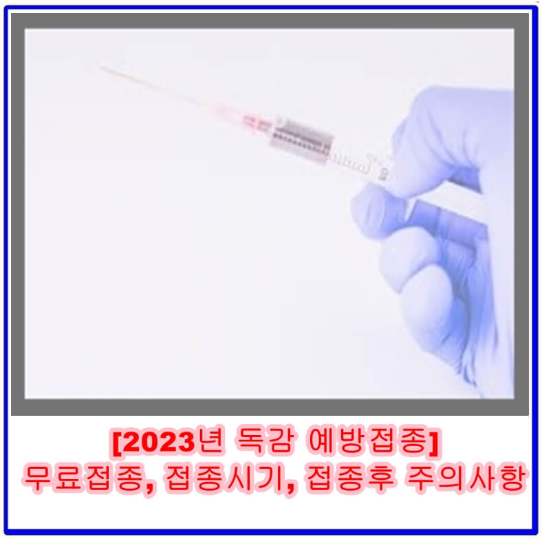 2023년 독감 예방접종